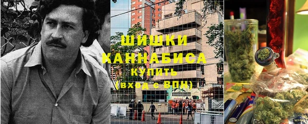 ешки Новодвинск