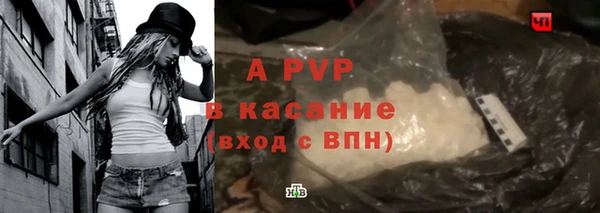 ешки Новодвинск