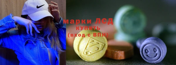 ешки Новодвинск