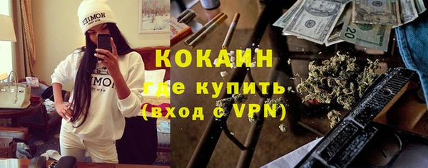 ешки Новодвинск